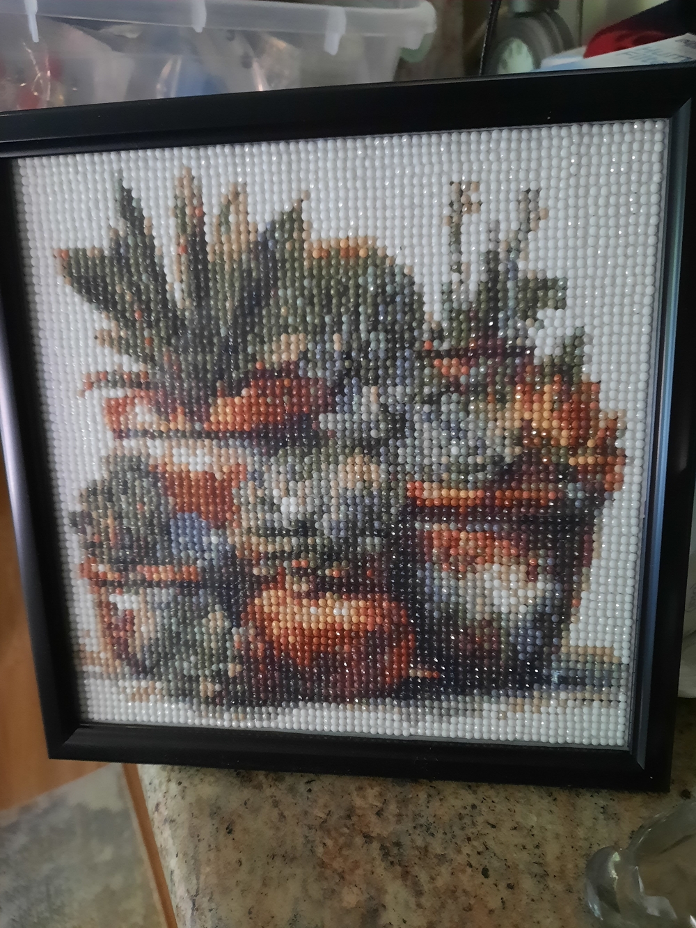 Succulent Diamond Art